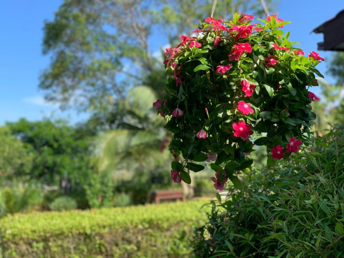 Lovely Garden Villas Pantai Cenang  Exterior photo