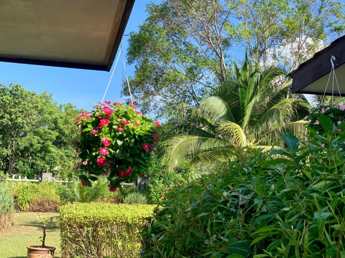 Lovely Garden Villas Pantai Cenang  Exterior photo